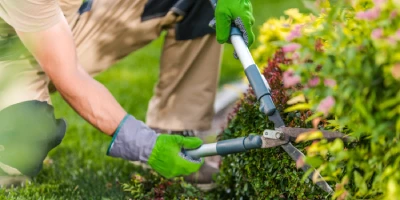 Landscaping-Services-in-Chicago-IL